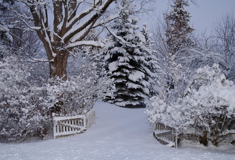 Zimowa lekcja języka angielskiego