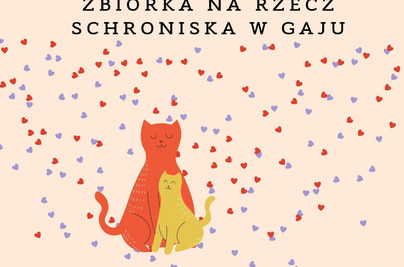 Zbiórka na rzecz schroniska w Gaju